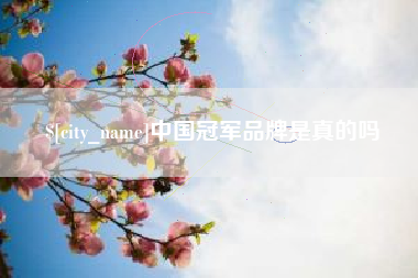 南城中国冠军品牌是真的吗