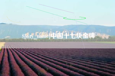 南城中国十七块金牌