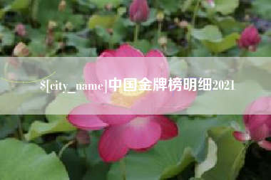 南城中国金牌榜明细2021
