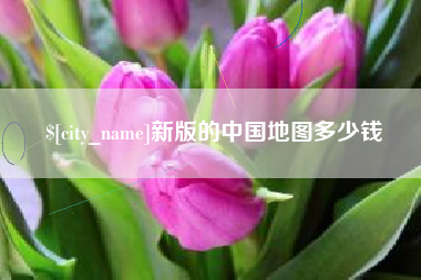 南城新版的中国地图多少钱