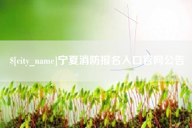 南城宁夏消防报名入口官网公告