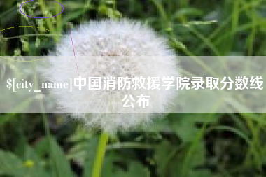 南城中国消防救援学院录取分数线公布