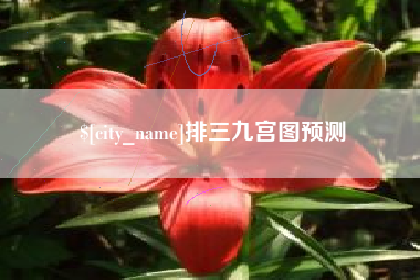 南城排三九宫图预测