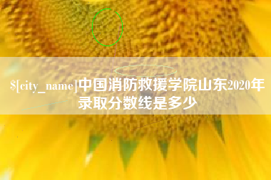 南城中国消防救援学院山东2020年录取分数线是多少