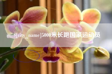 南城5000米长跑国家运动员