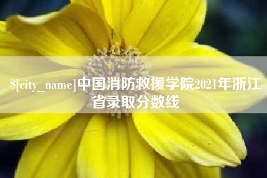 南城中国消防救援学院2021年浙江省录取分数线