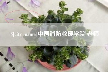 南城中国消防救援学院 老师