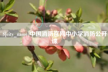 南城中国消防官网中小学消防公开课