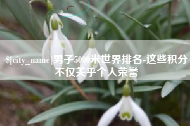 南城男子5000米世界排名-这些积分不仅关乎个人荣誉