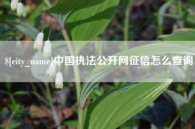 南城中国执法公开网征信怎么查询