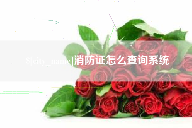 南城消防证怎么查询系统