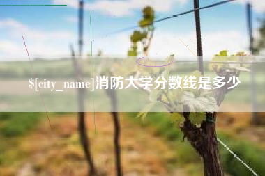 南城消防大学分数线是多少