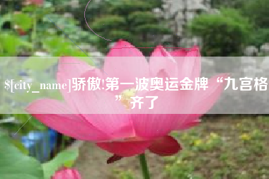 南城骄傲!第一波奥运金牌“九宫格”齐了