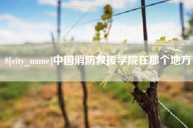 南城中国消防救援学院在那个地方