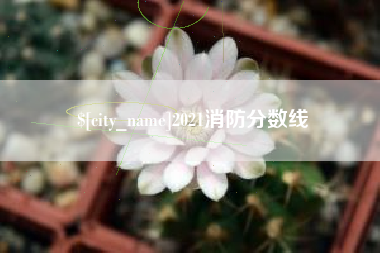 南城2021消防分数线