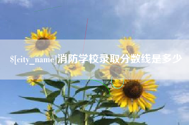 南城消防学校录取分数线是多少