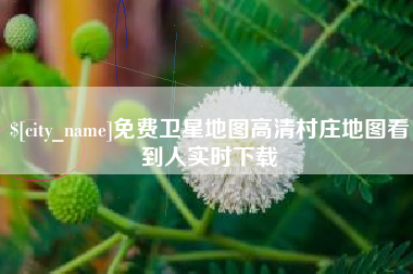 南城免费卫星地图高清村庄地图看到人实时下载