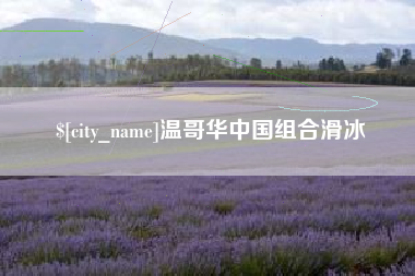 南城温哥华中国组合滑冰