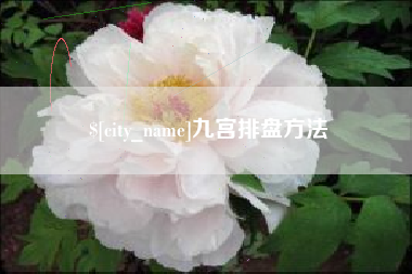 南城九宫排盘方法