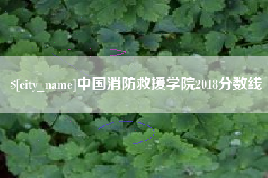 南城中国消防救援学院2018分数线