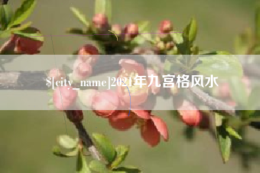 南城2021年九宫格风水