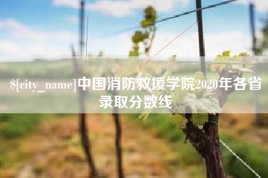 南城中国消防救援学院2020年各省录取分数线