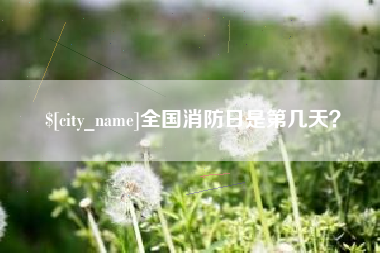 南城全国消防日是第几天？