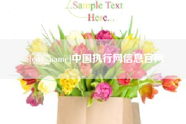 南城中国执行网信息官网