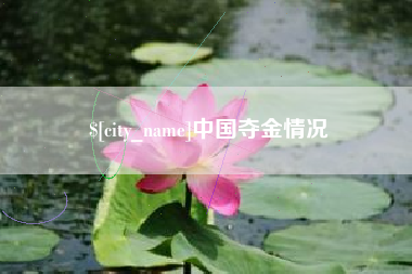 南城中国夺金情况