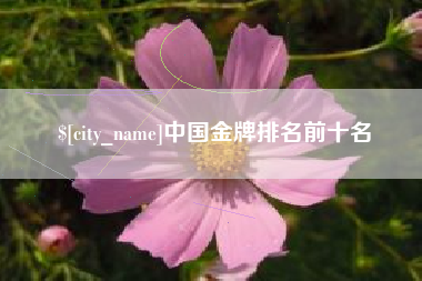 南城中国金牌排名前十名