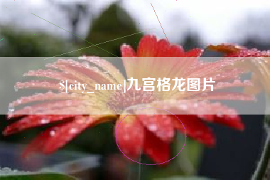 南城九宫格龙图片