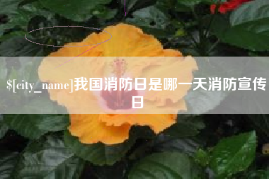 南城我国消防日是哪一天消防宣传日