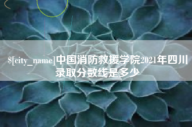 南城中国消防救援学院2021年四川录取分数线是多少
