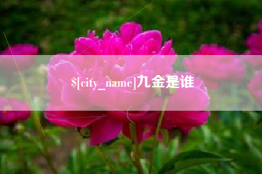 南城九金是谁