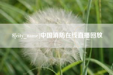 南城中国消防在线直播回放