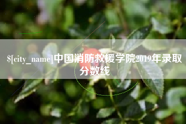 南城中国消防救援学院2019年录取分数线