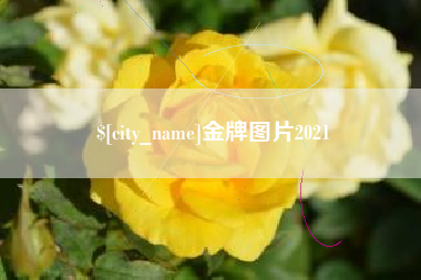 南城金牌图片2021
