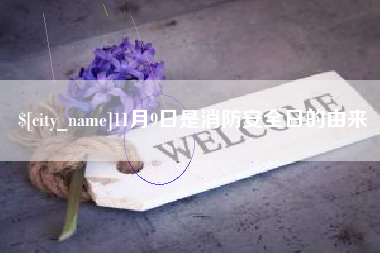 南城11月9日是消防安全日的由来
