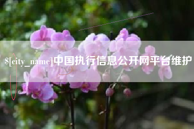 南城中国执行信息公开网平台维护