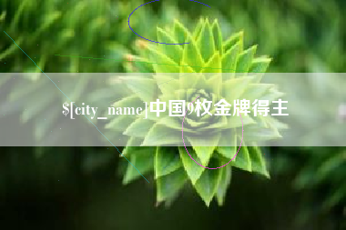 南城中国9枚金牌得主
