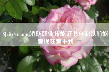南城消防职业技能证书查询以前能查现在查不到