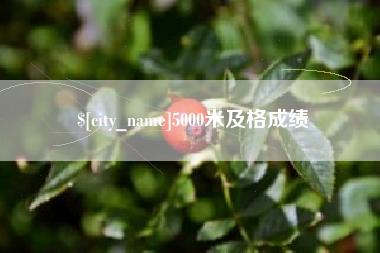 南城5000米及格成绩