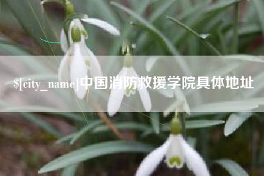 南城中国消防救援学院具体地址