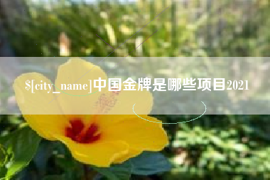 南城中国金牌是哪些项目2021