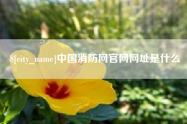 南城中国消防网官网网址是什么