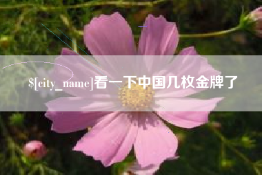 南城看一下中国几枚金牌了
