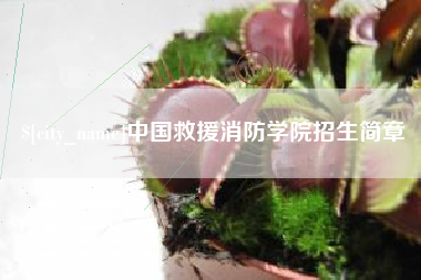 南城中国救援消防学院招生简章