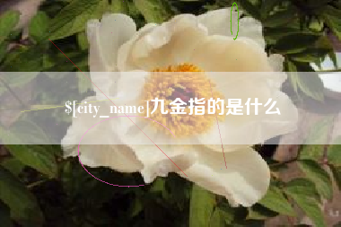 南城九金指的是什么