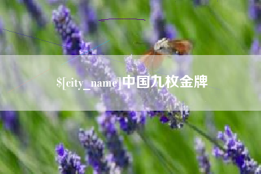 南城中国九枚金牌