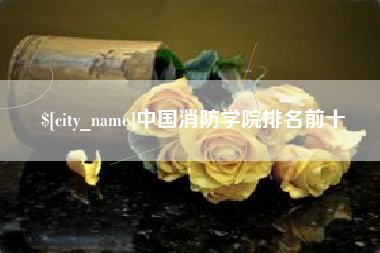 南城中国消防学院排名前十